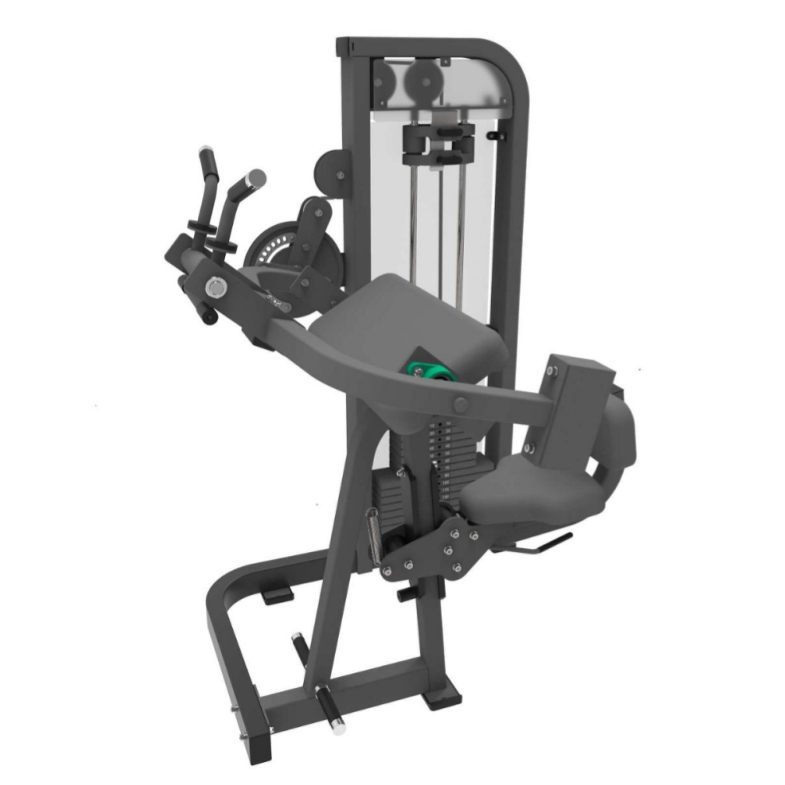Biceps și triceps
